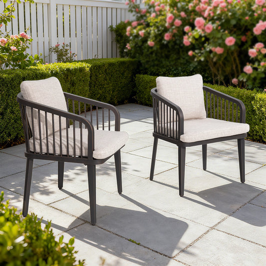Asheville Patio Aluminum Dining Chair Set of 2