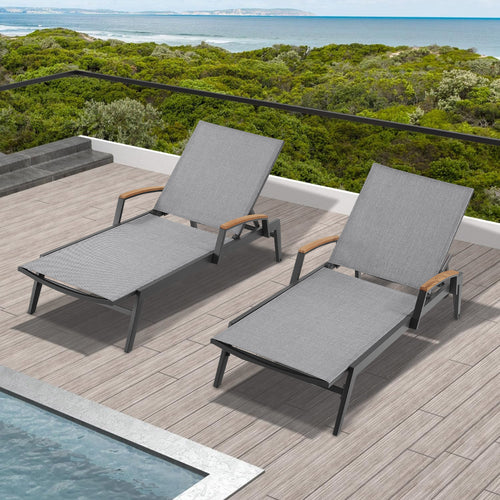 Canyon Outdoor Powder Coated Aluminum Chaise Lounge Set (Set of 2)