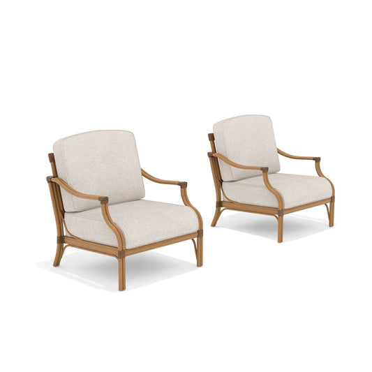 Arcadia 2 Pieces Aluminum Patio Lounge Chair