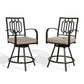 Patio Bar Stools Counter Height Swivel Stools with Cushion (Set of 2)