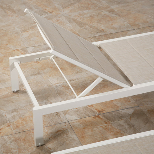 PEAKHOME Outdoor Chaie Lounges with Wheels and Quick Dry Foam Set of 2