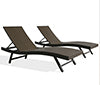 Outdoor Wicker Chaise Lounge Patio Adjustable Reclining Chaise Lounge Chair with Wheels, Set of 2